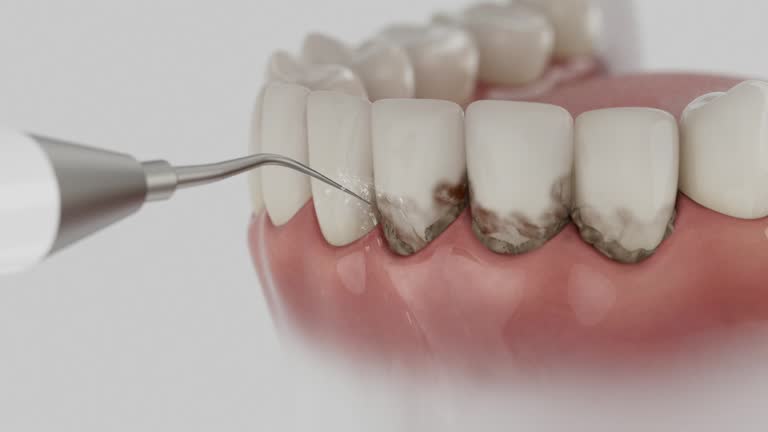 Reliable Dental contractor in Tallahatchie County County, MS by Dentist Open Now